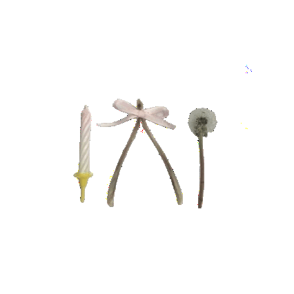 donate